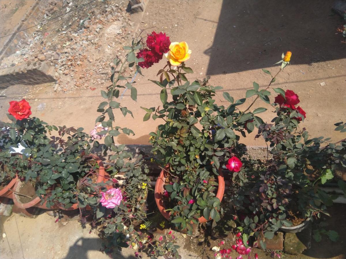 Khajuraho Homestay Екстериор снимка